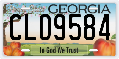 GA license plate CLO9584
