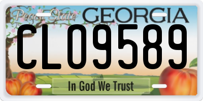 GA license plate CLO9589