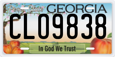GA license plate CLO9838