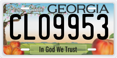 GA license plate CLO9953