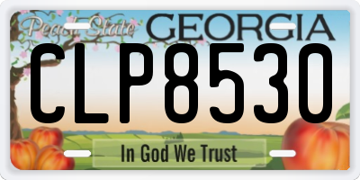 GA license plate CLP8530