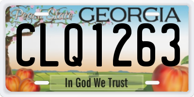 GA license plate CLQ1263