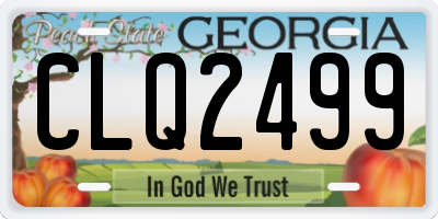 GA license plate CLQ2499
