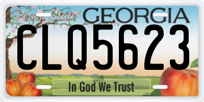 GA license plate CLQ5623