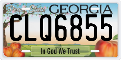 GA license plate CLQ6855