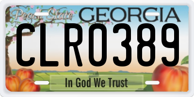 GA license plate CLR0389