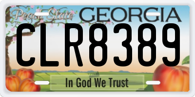 GA license plate CLR8389