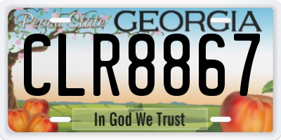 GA license plate CLR8867