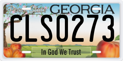 GA license plate CLS0273