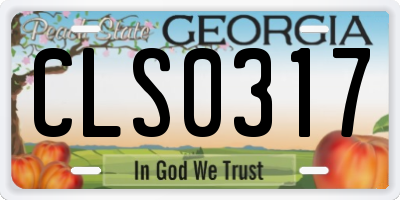 GA license plate CLS0317