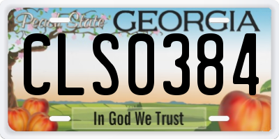 GA license plate CLS0384