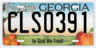 GA license plate CLS0391
