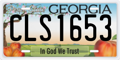 GA license plate CLS1653