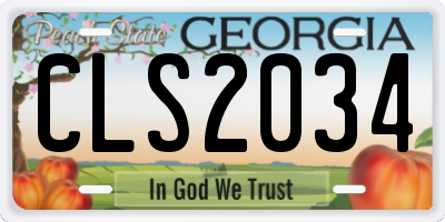 GA license plate CLS2034