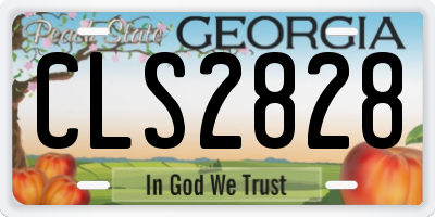 GA license plate CLS2828