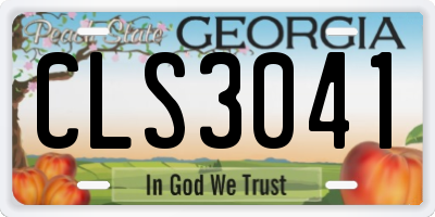 GA license plate CLS3041