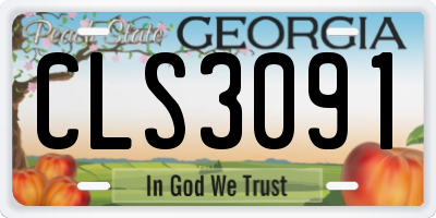 GA license plate CLS3091