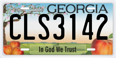 GA license plate CLS3142
