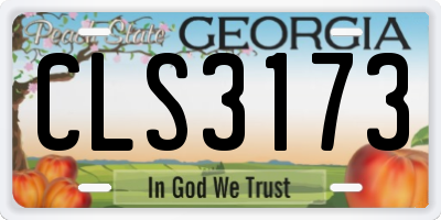 GA license plate CLS3173