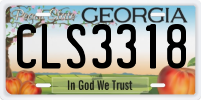 GA license plate CLS3318
