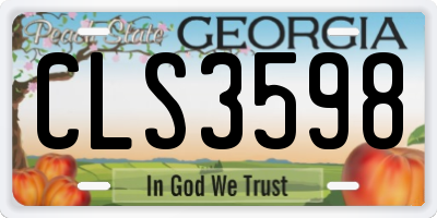 GA license plate CLS3598