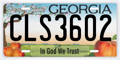 GA license plate CLS3602