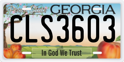 GA license plate CLS3603