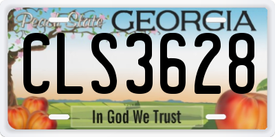 GA license plate CLS3628
