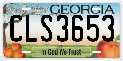 GA license plate CLS3653