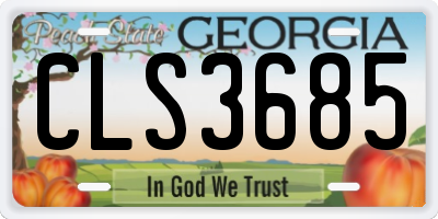 GA license plate CLS3685