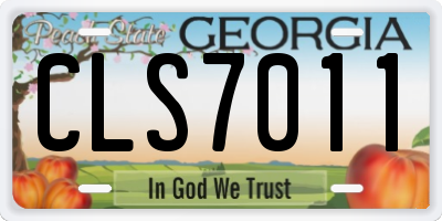 GA license plate CLS7011