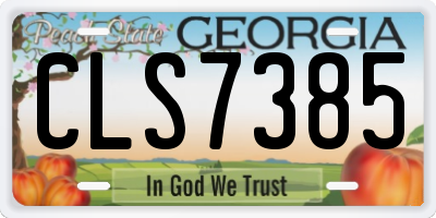 GA license plate CLS7385