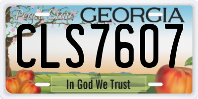 GA license plate CLS7607