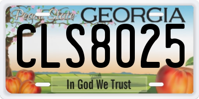 GA license plate CLS8025