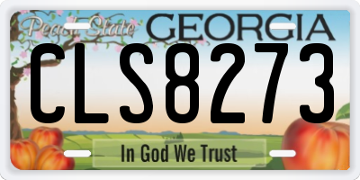 GA license plate CLS8273