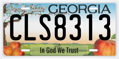 GA license plate CLS8313