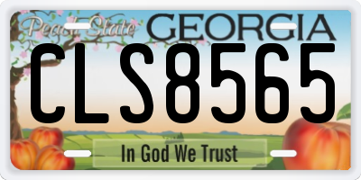 GA license plate CLS8565