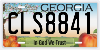 GA license plate CLS8841