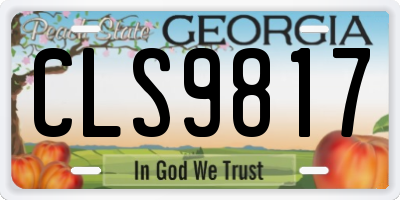 GA license plate CLS9817