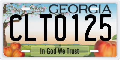 GA license plate CLT0125