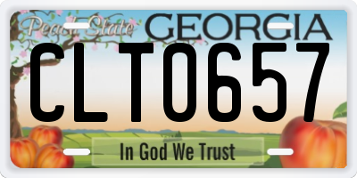 GA license plate CLT0657