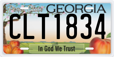 GA license plate CLT1834