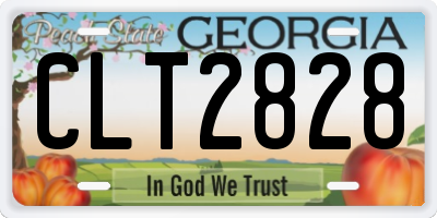 GA license plate CLT2828