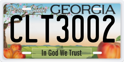 GA license plate CLT3002