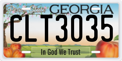 GA license plate CLT3035