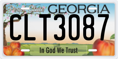 GA license plate CLT3087