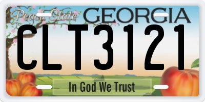 GA license plate CLT3121