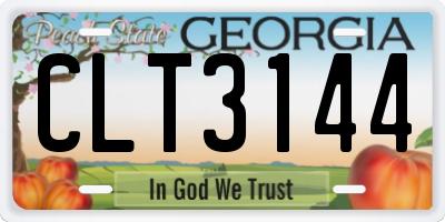 GA license plate CLT3144