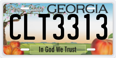 GA license plate CLT3313