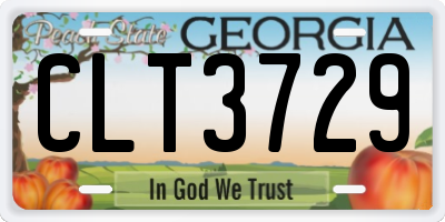 GA license plate CLT3729